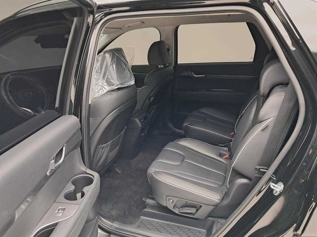 HYUNDAI Palisade - Vista 12