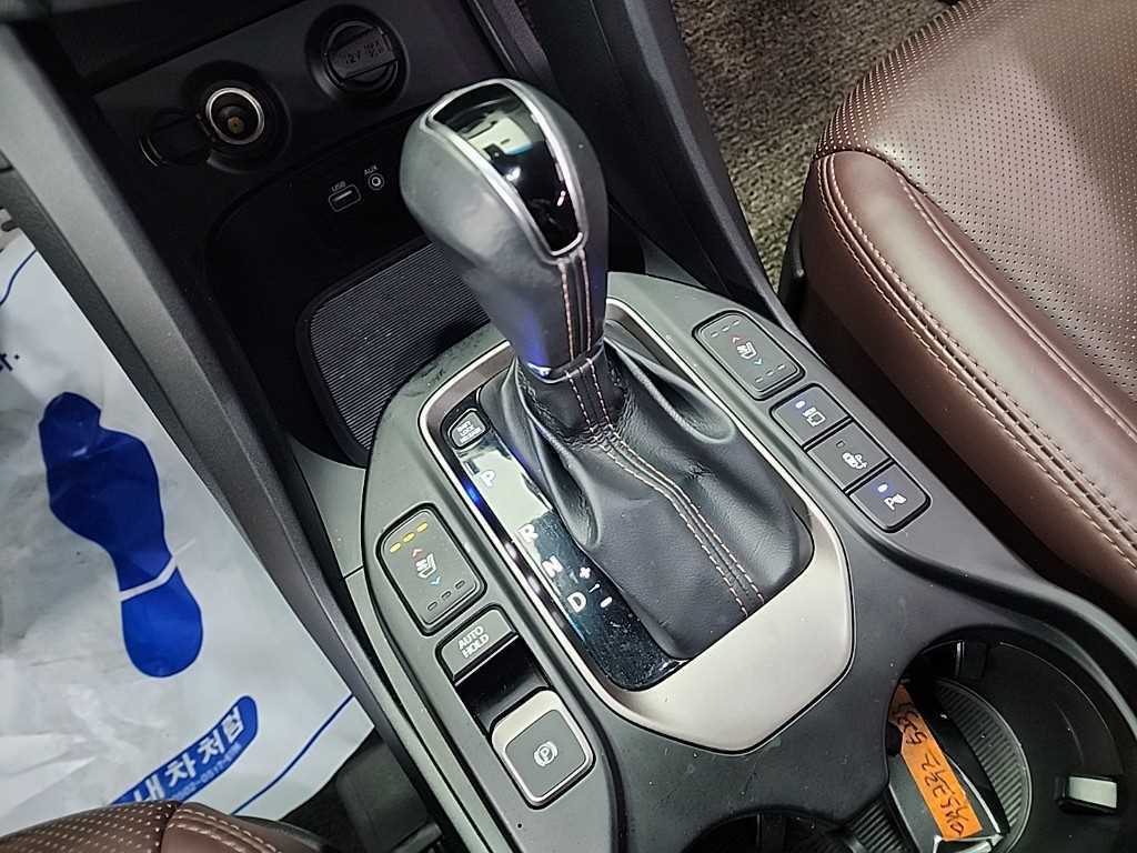 HYUNDAI Maxcruz - Vista 8