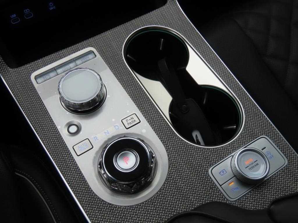 Genesis GV80 - Vista 6