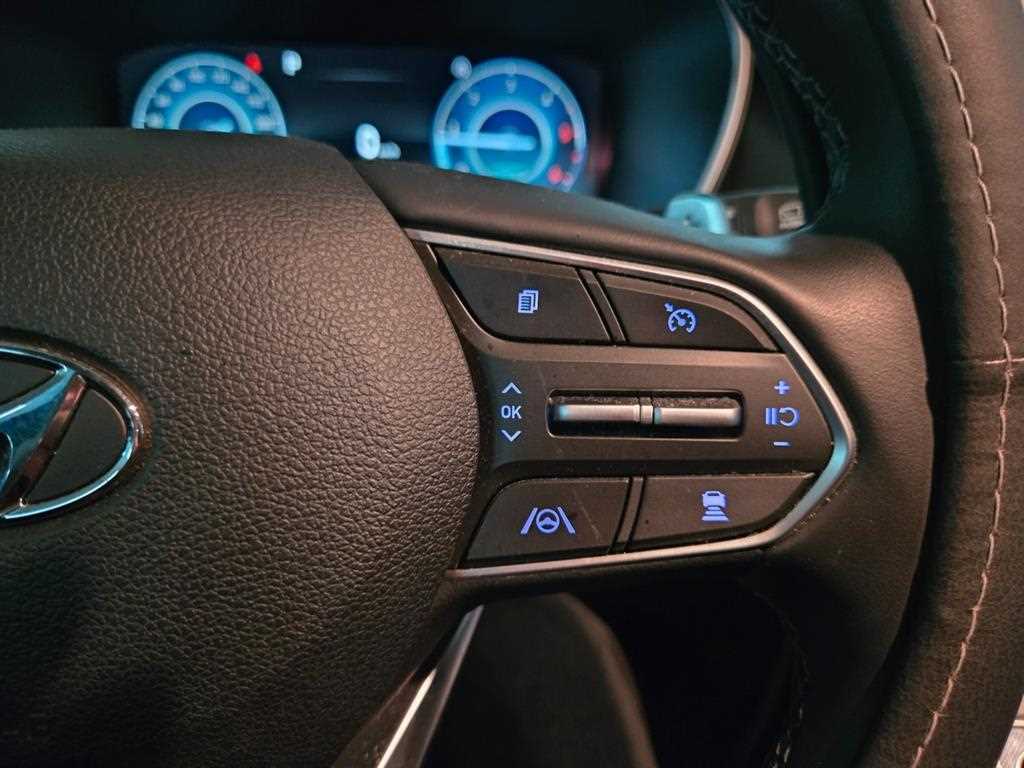 HYUNDAI Santa Fe - Vista 11