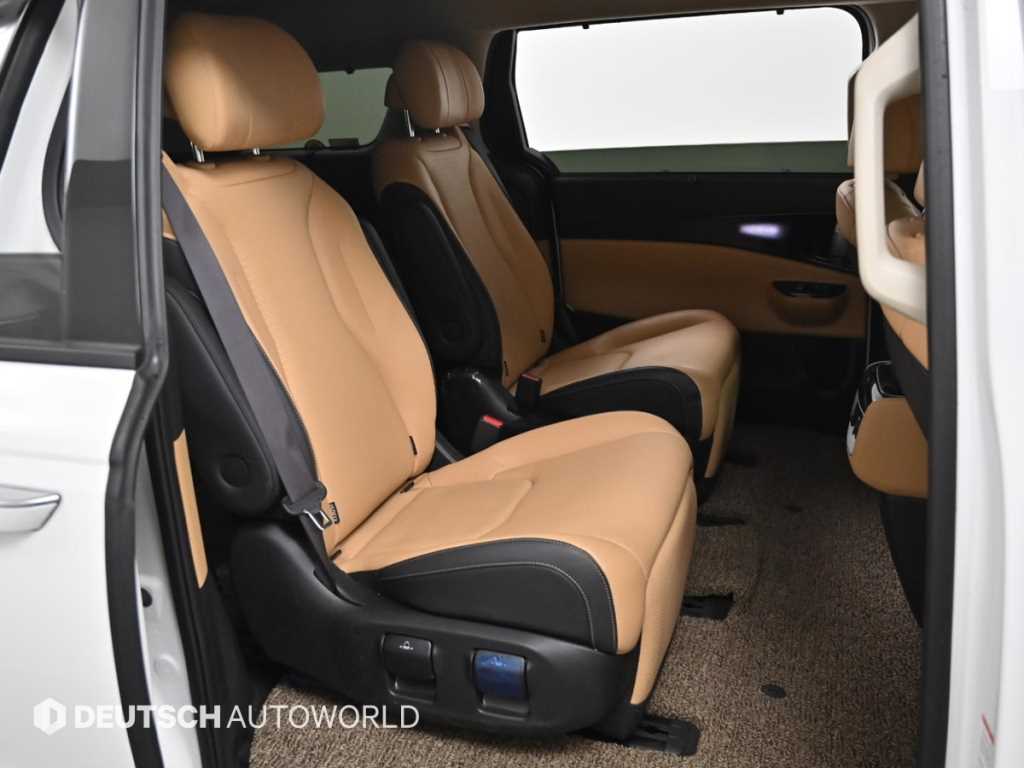 KIA Carnival - Vista 12