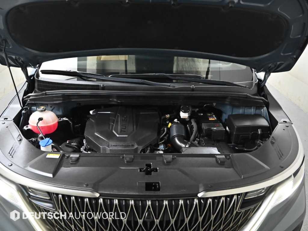 KIA Carnival - Vista 6