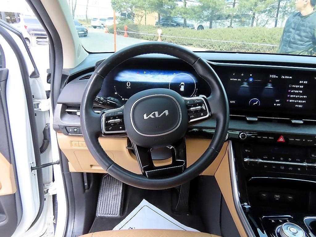 KIA Carnival - Vista 8