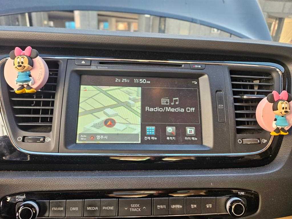 KIA Carnival - Vista 12