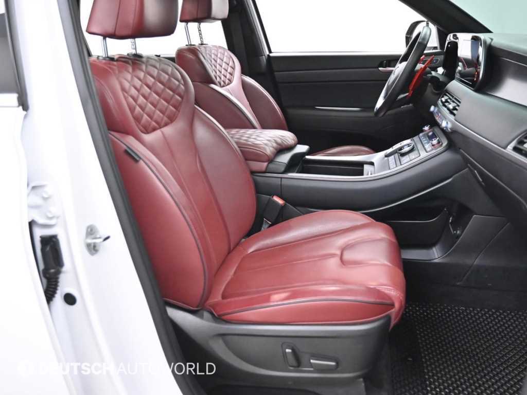 HYUNDAI Palisade - Vista 10