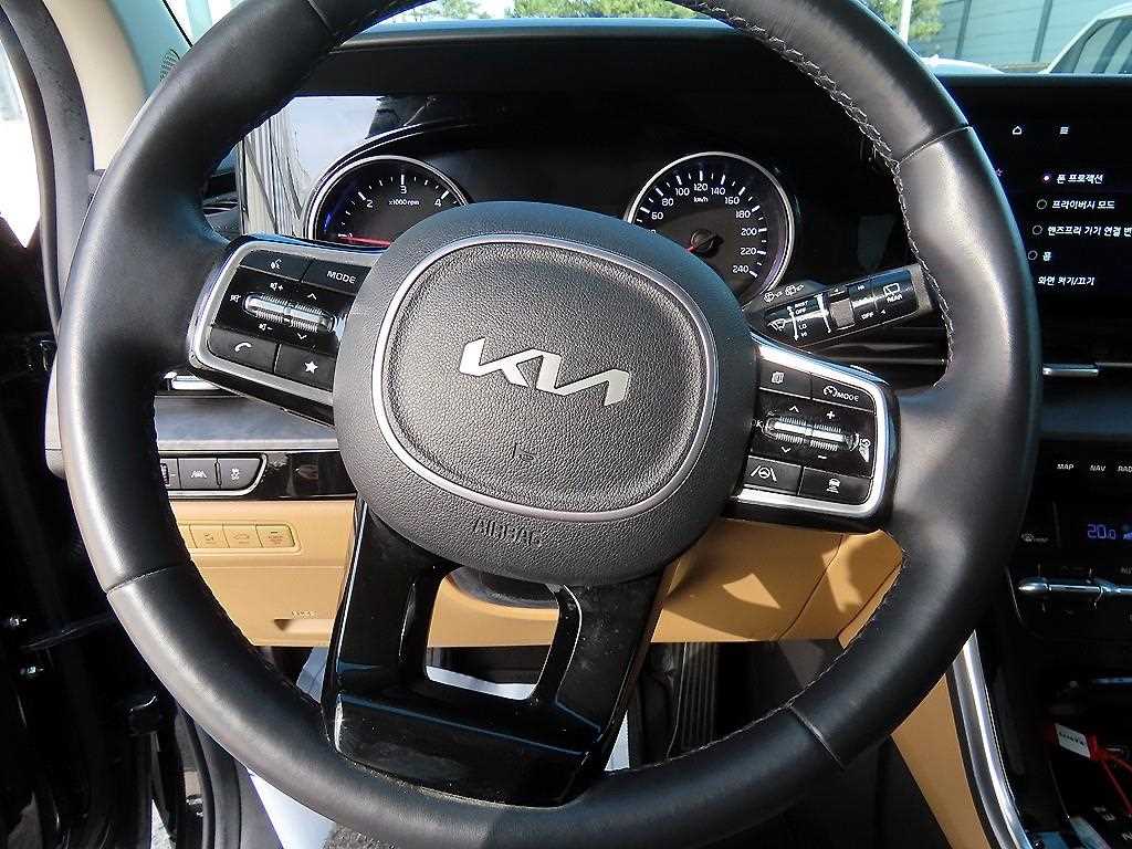 KIA Carnival - Vista 9