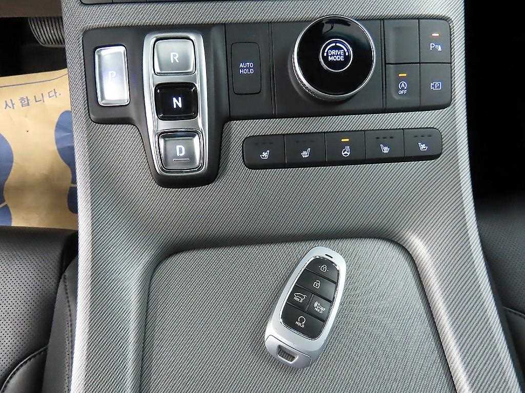 HYUNDAI Palisade - Vista 10