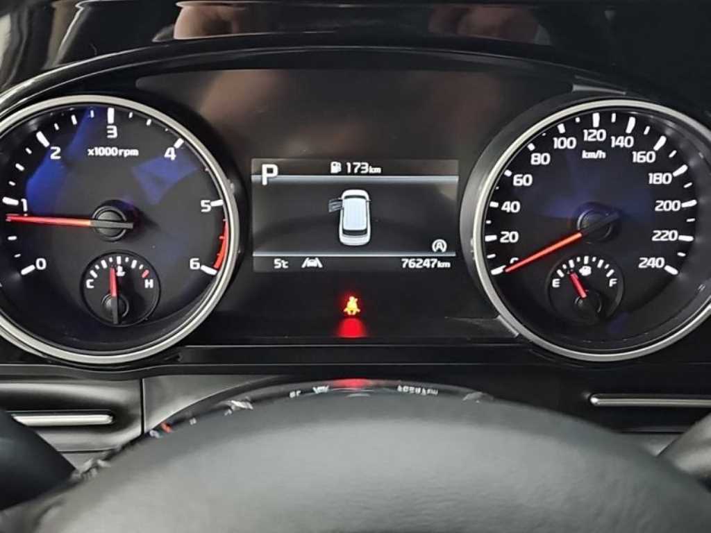KIA Carnival - Vista 11