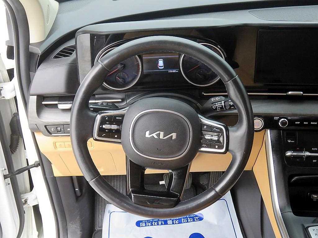 KIA Carnival - Vista 11