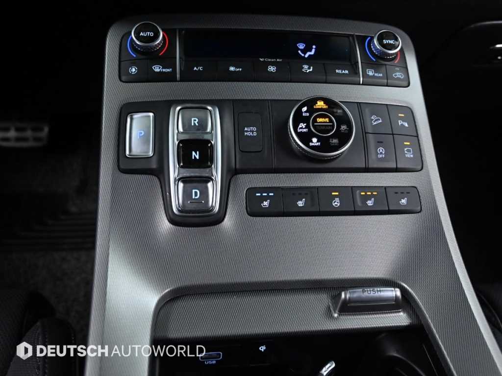 HYUNDAI Palisade - Vista 9