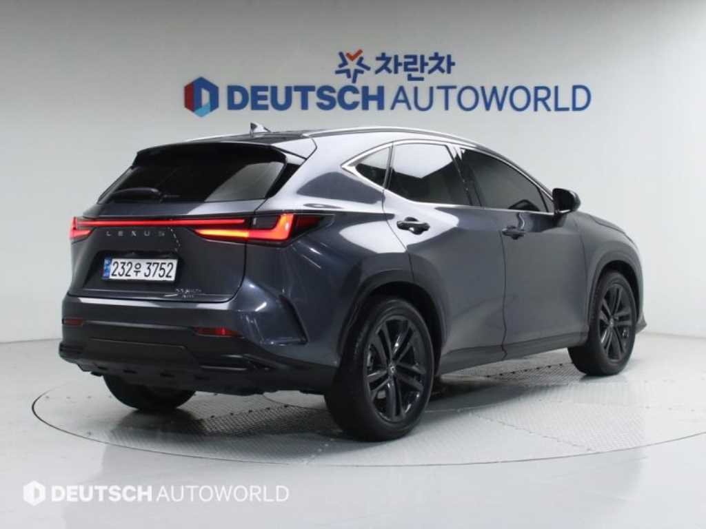 Lexus NX - Vista 2