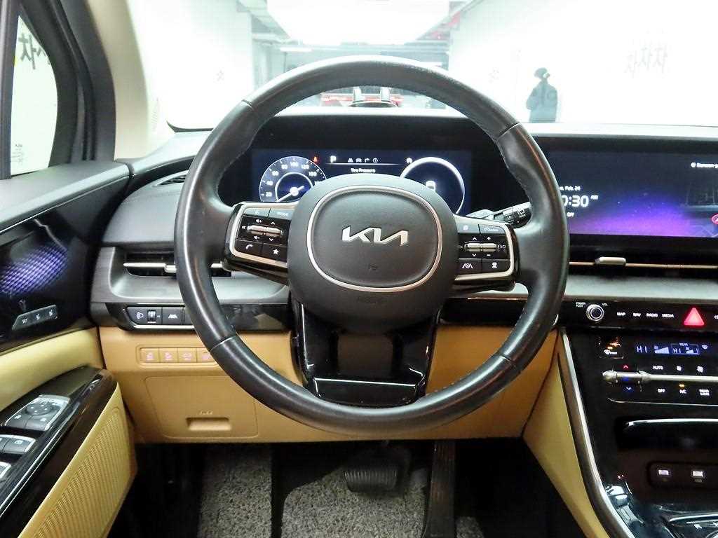 KIA Carnival - Vista 7