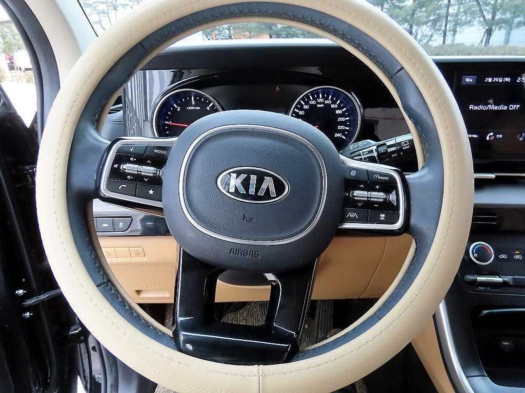 KIA Carnival - Vista 9