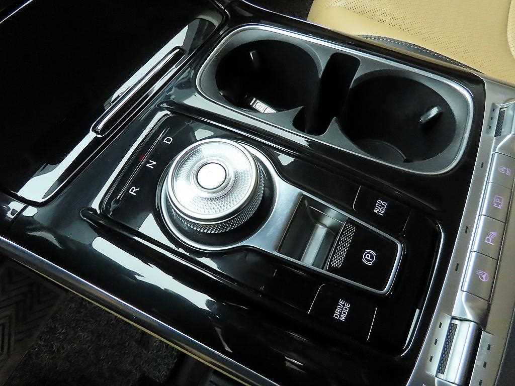 KIA Carnival - Vista 10