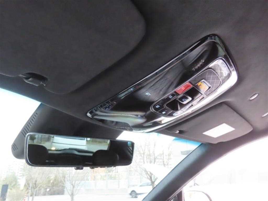 Genesis GV80 - Vista 10