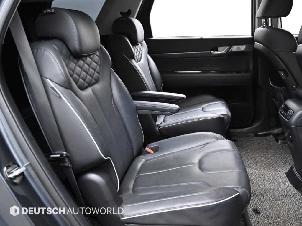 HYUNDAI Palisade - Vista 12