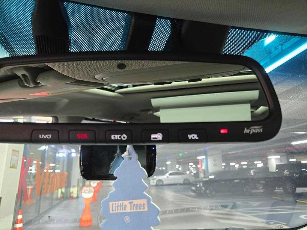 KIA Carnival - Vista 12