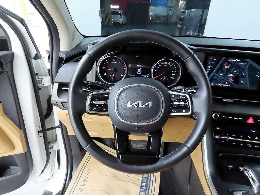 KIA Carnival - Vista 9
