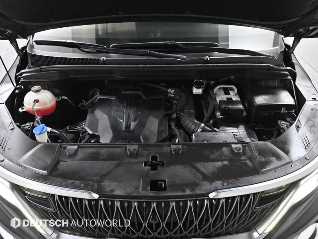 KIA Carnival - Vista 6