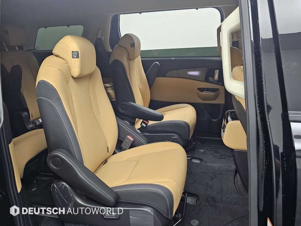 KIA Carnival - Vista 12