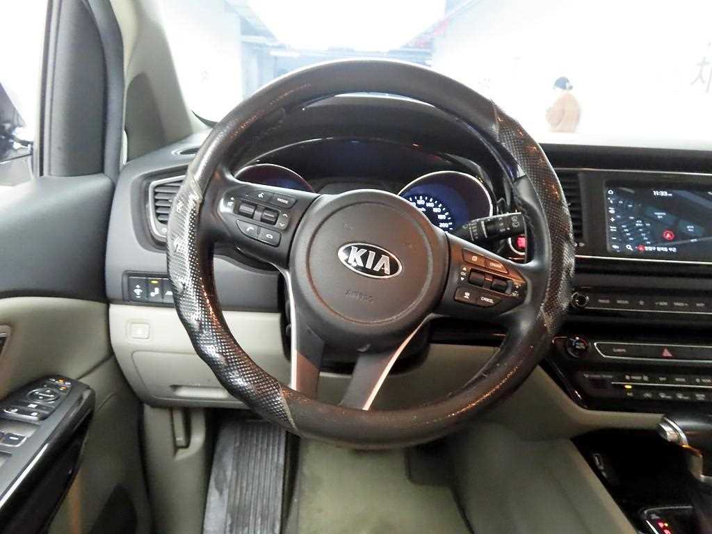 KIA Carnival - Vista 7
