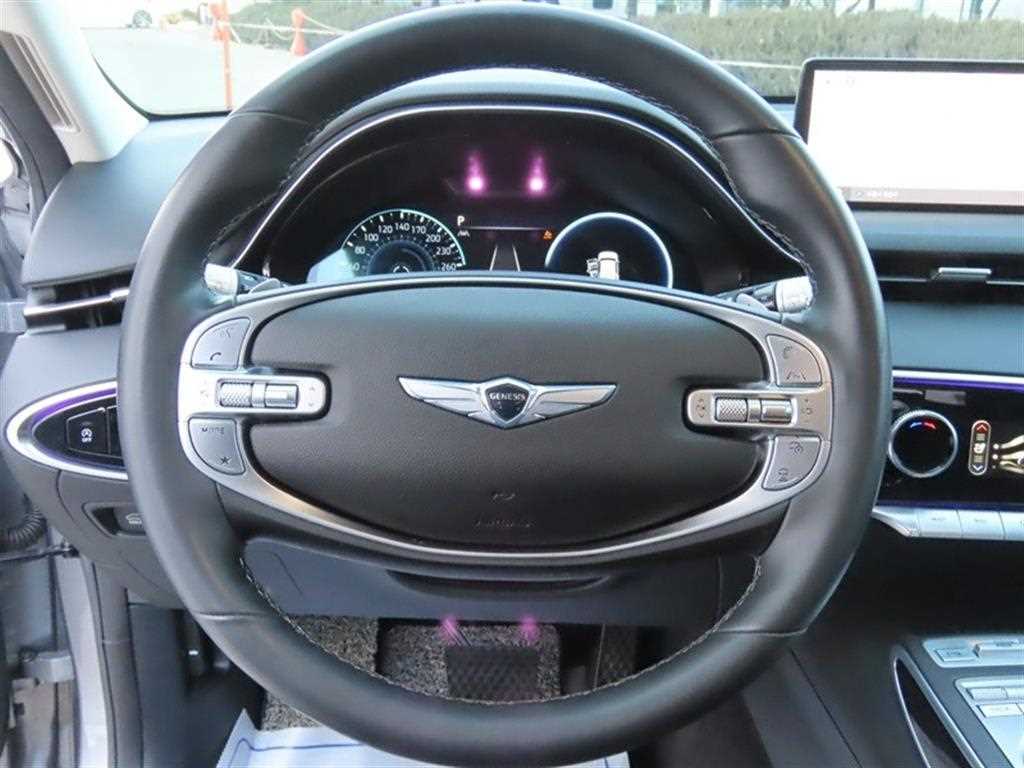 Genesis GV70 - Vista 10