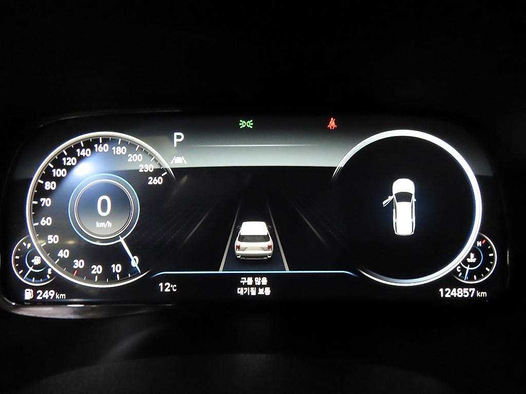 HYUNDAI Palisade - Vista 9