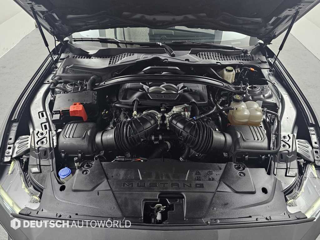 Ford Mustang - Vista 6