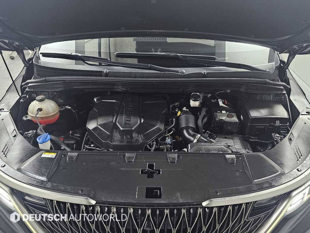 KIA Carnival - Vista 6