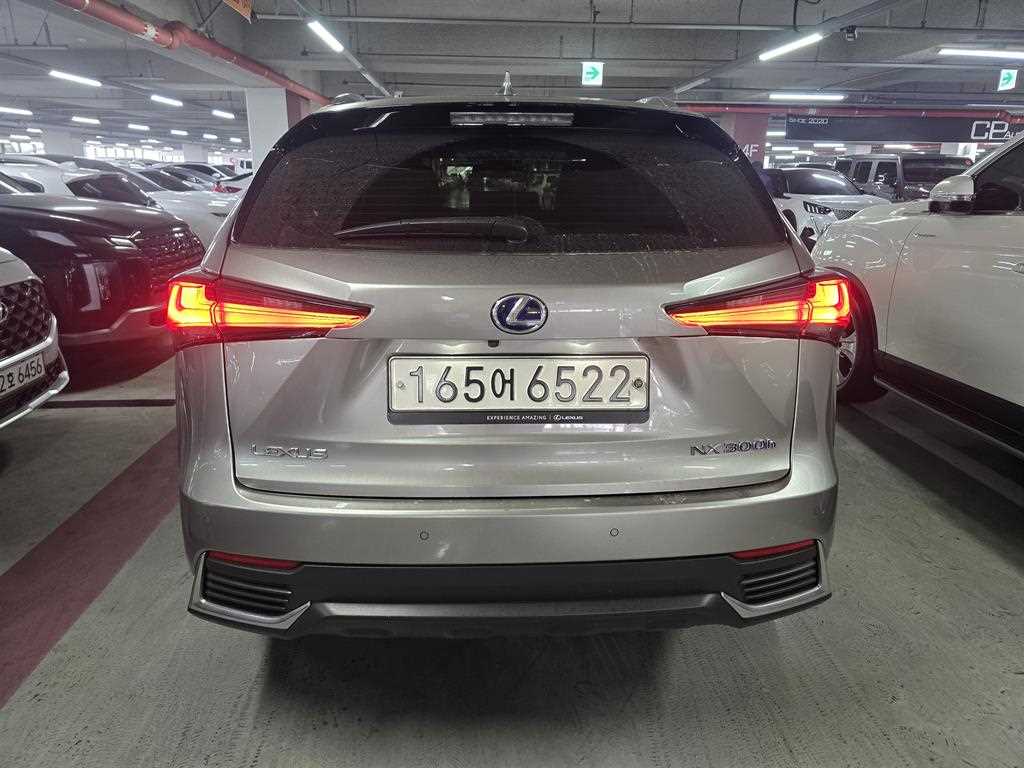 Lexus NX - Vista 4