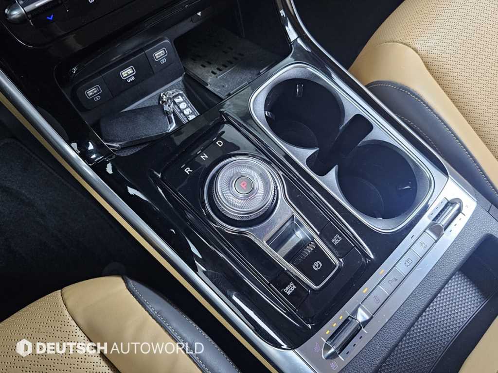 KIA Carnival - Vista 9