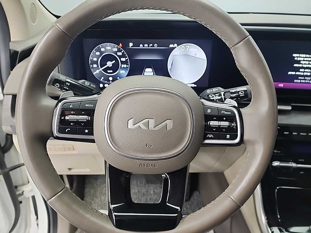 KIA Carnival - Vista 9