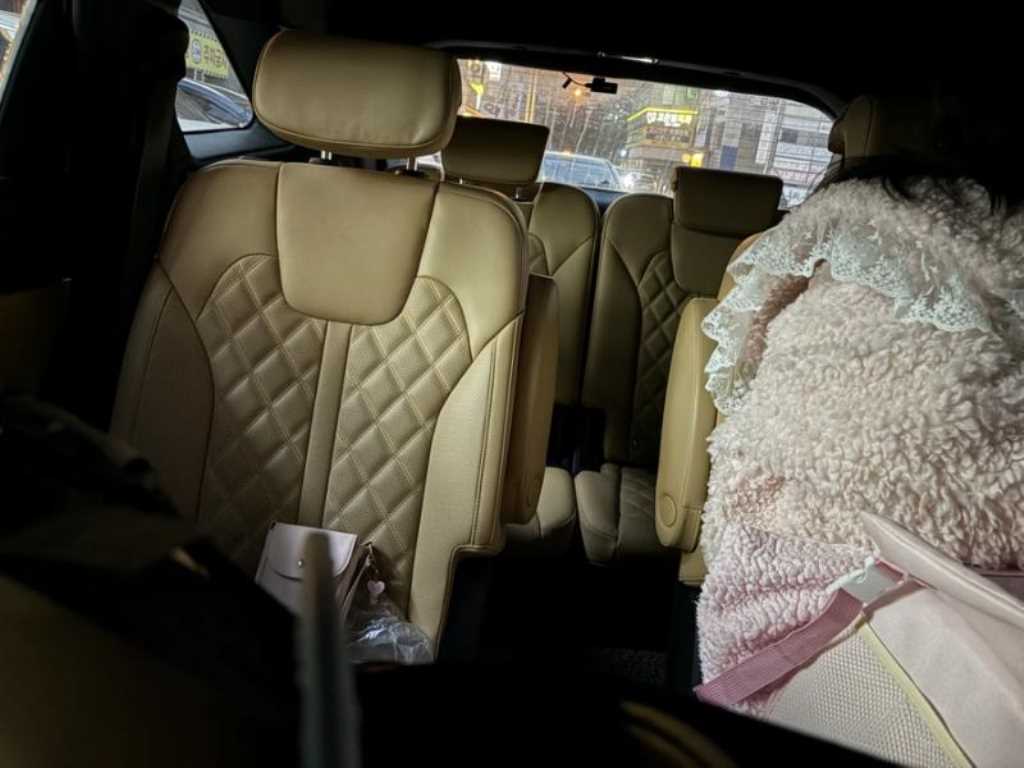 KIA Sorento - Vista 6