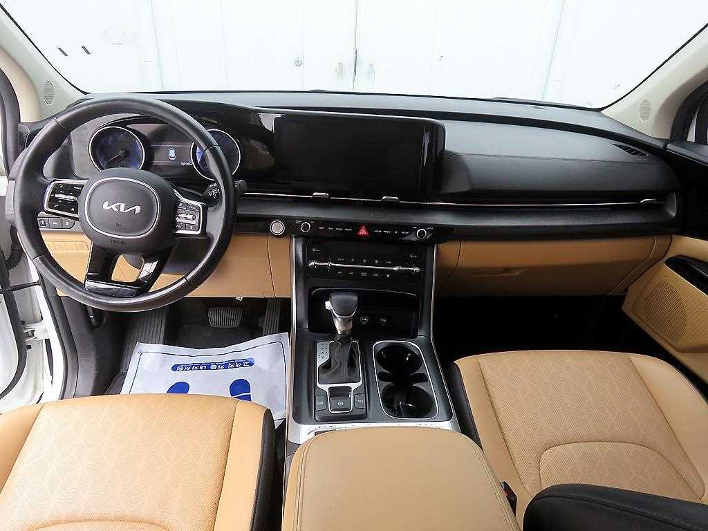 KIA Carnival - Vista 8