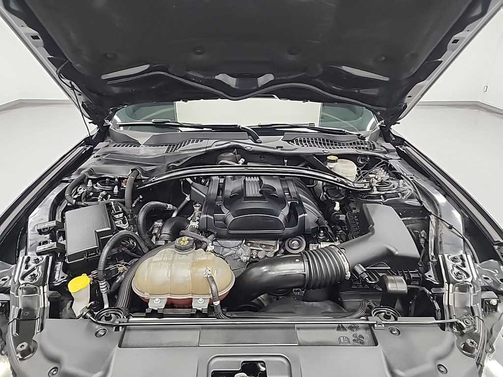 Ford Mustang - Vista 5