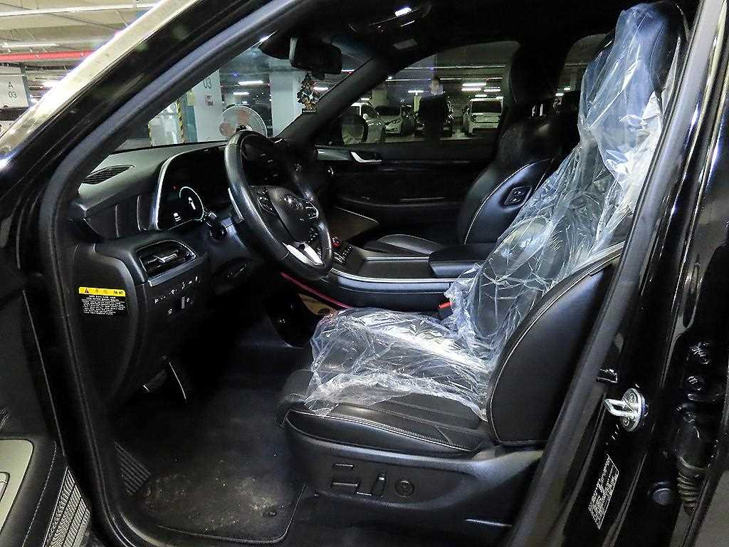 HYUNDAI Palisade - Vista 6