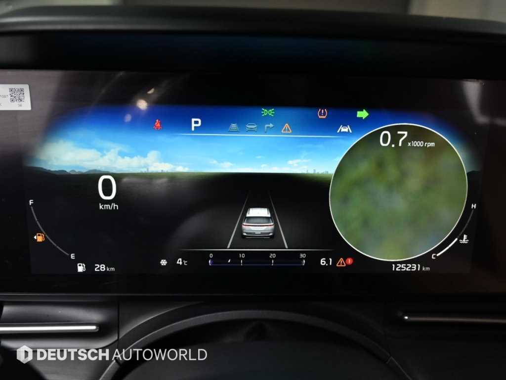 KIA Carnival - Vista 8