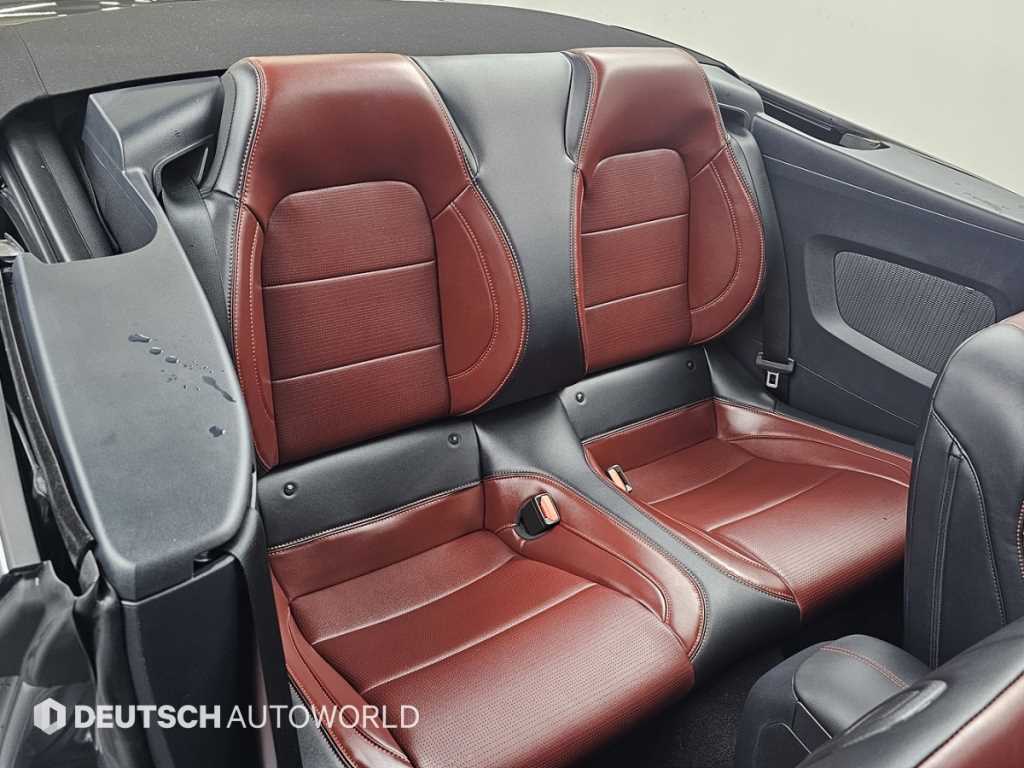 Ford Mustang - Vista 12