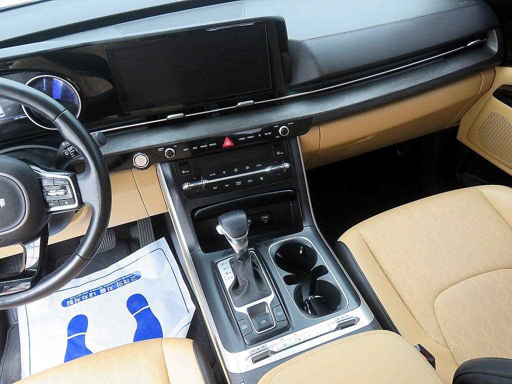 KIA Carnival - Vista 12