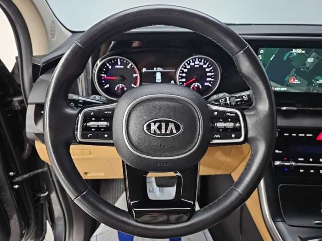 KIA Carnival - Vista 12
