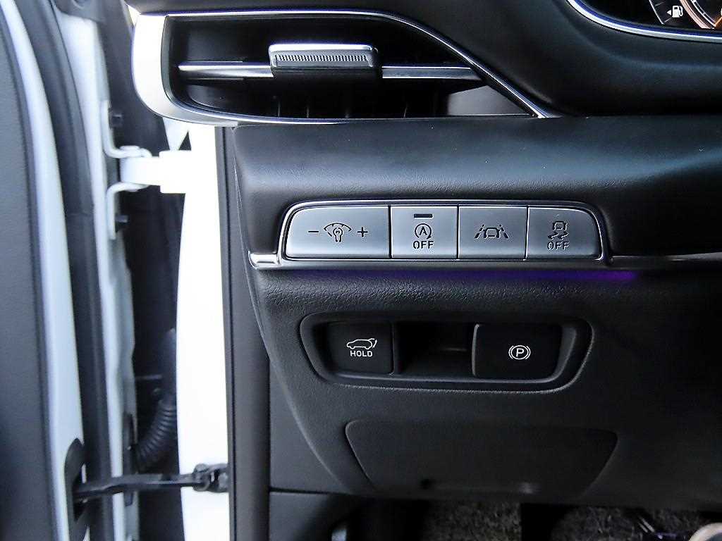 Genesis GV80 - Vista 12