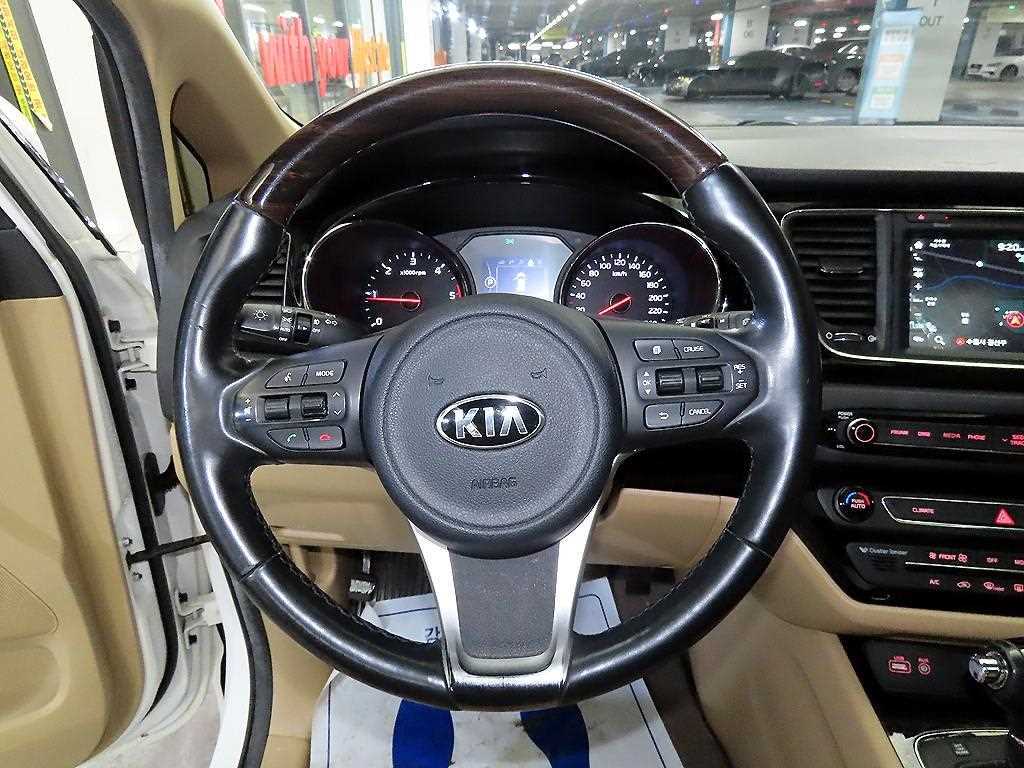 KIA Carnival - Vista 8