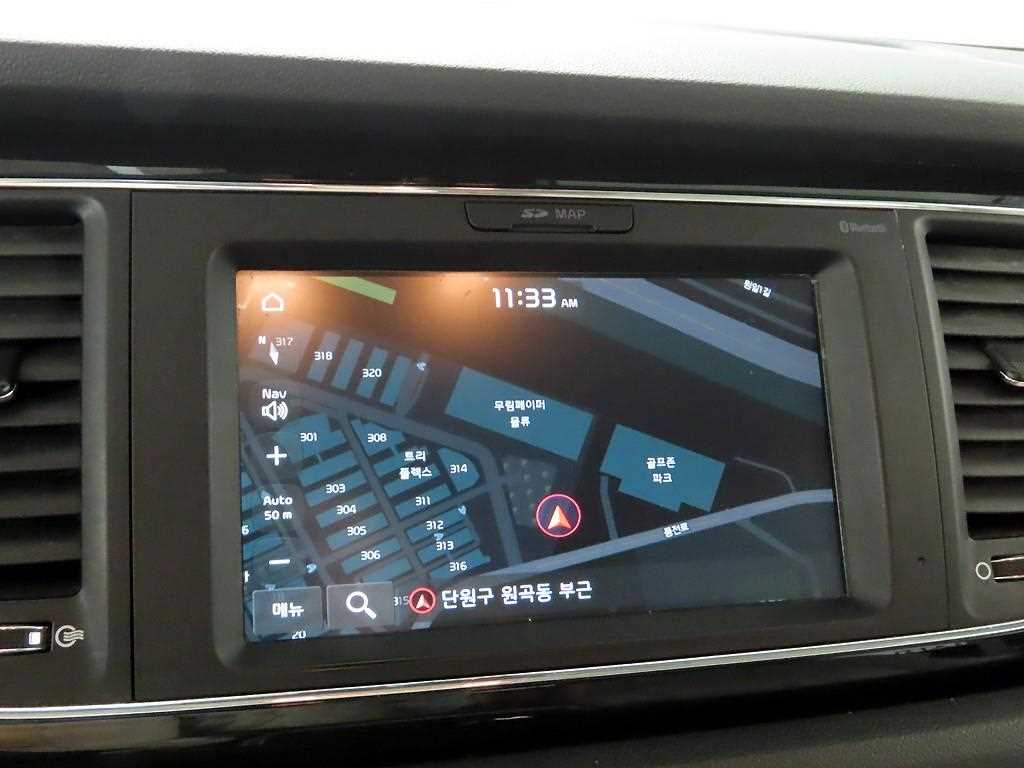 KIA Carnival - Vista 8