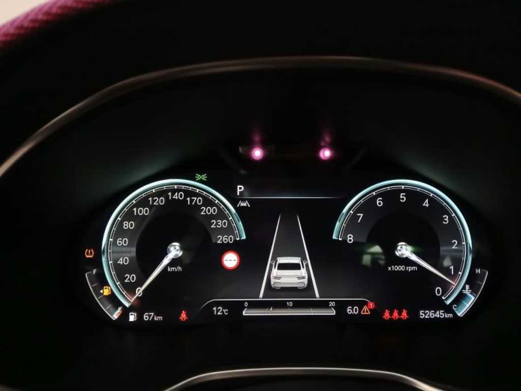 Genesis G80 - Vista 9