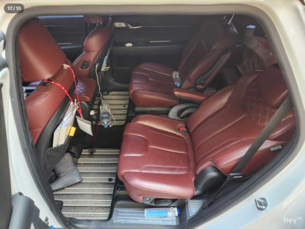 HYUNDAI Palisade - Vista 11