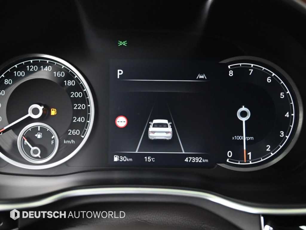 Genesis G80 - Vista 8