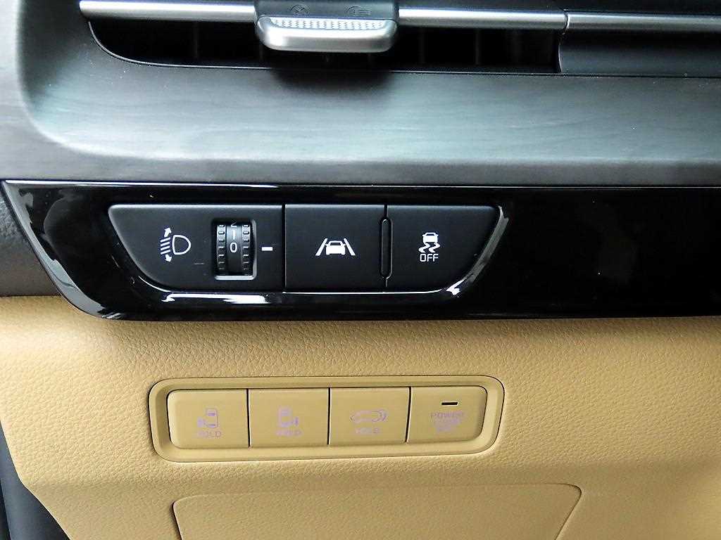 KIA Carnival - Vista 12