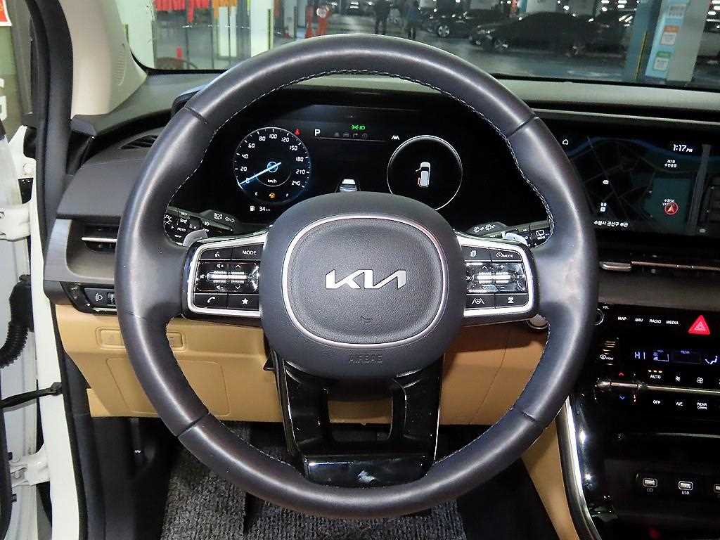 KIA Carnival - Vista 8