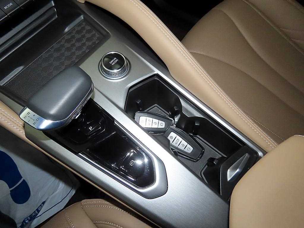 SAMSUNG Grand Koleos - Vista 11