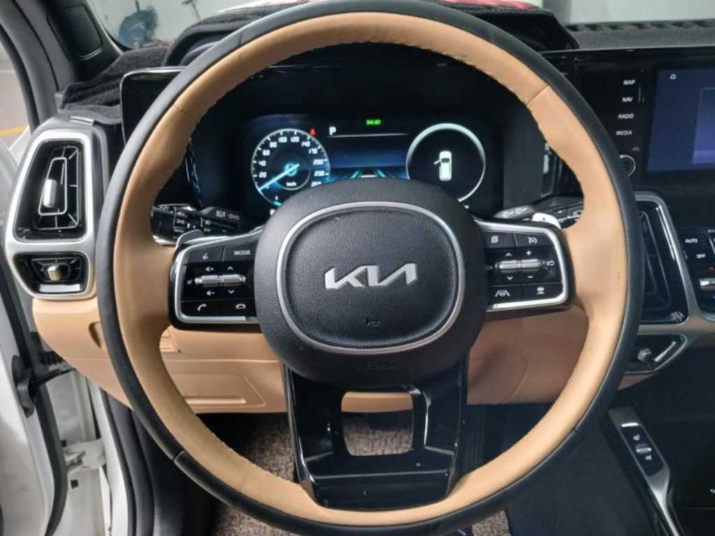 KIA Sorento - Vista 12